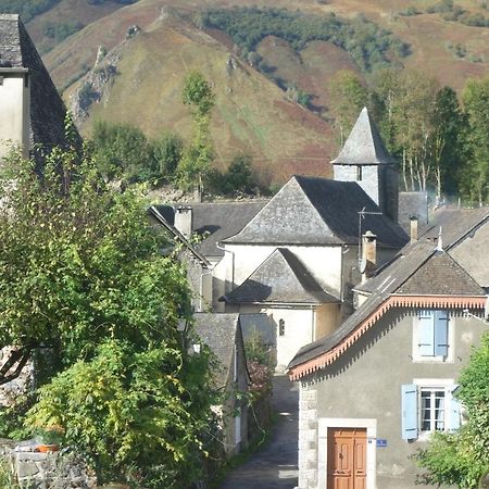 Gite Montagne Et Vie Bedous Εξωτερικό φωτογραφία