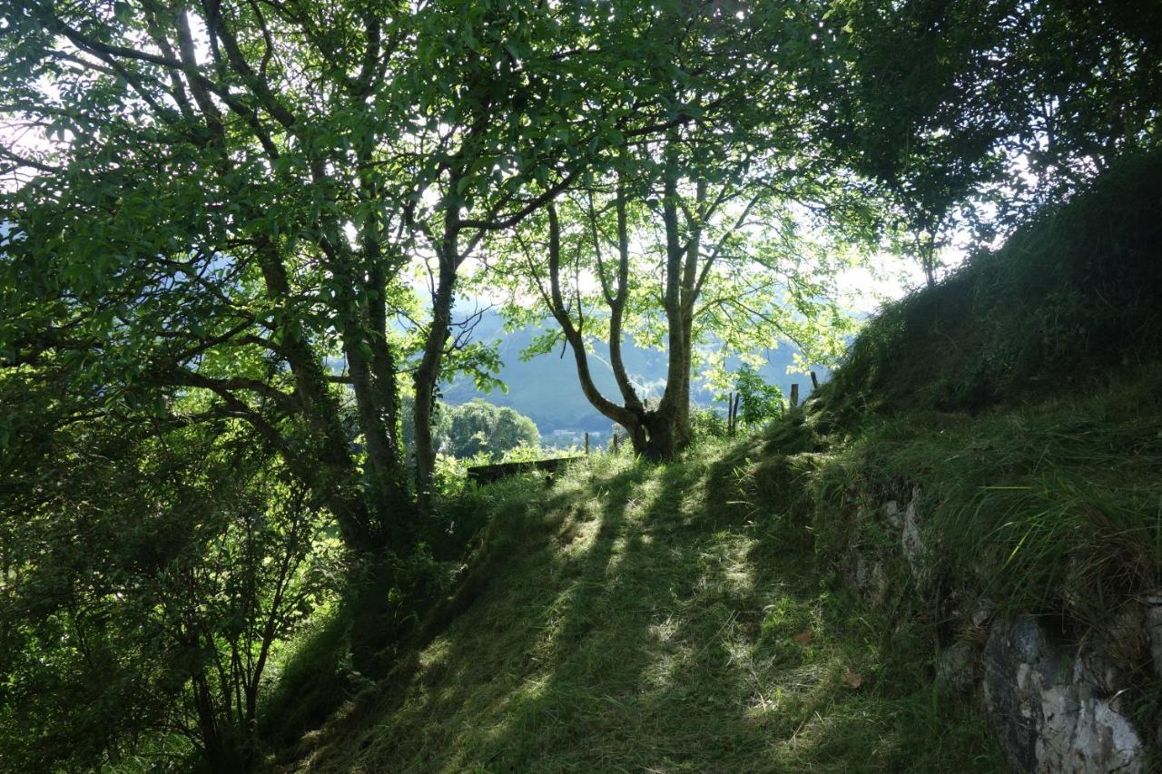 Gite Montagne Et Vie Bedous Εξωτερικό φωτογραφία